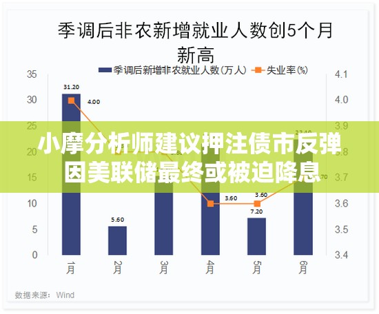 小摩分析师建议押注债市反弹 因美联储最终或被迫降息