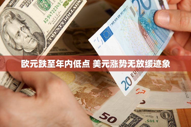 欧元跌至年内低点 美元涨势无放缓迹象