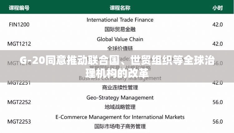 G-20同意推动联合国、世贸组织等全球治理机构的改革