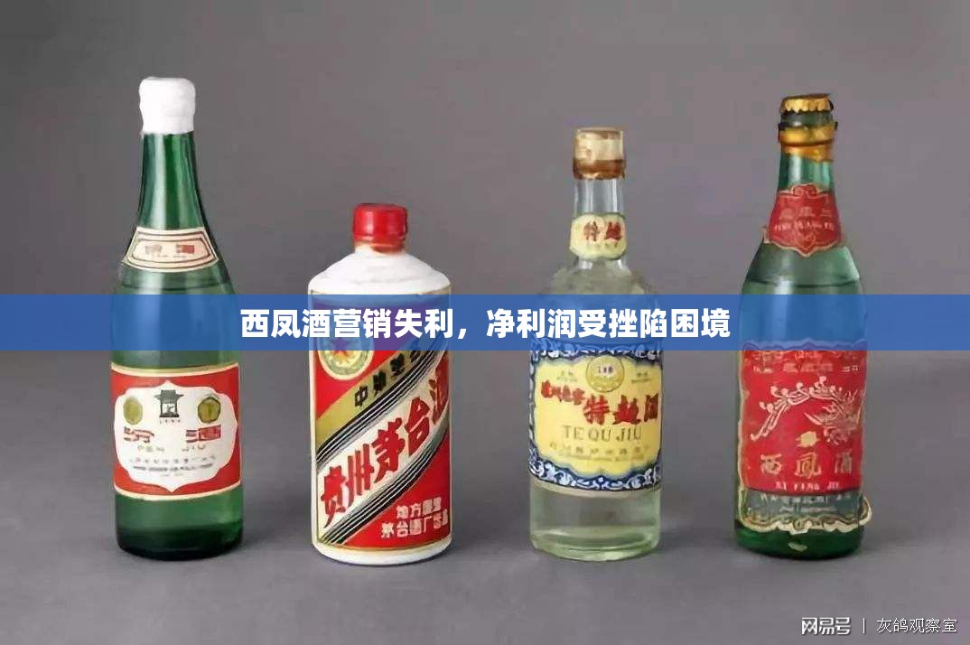 西凤酒营销失利，净利润受挫陷困境