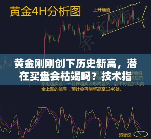 黄金刚刚创下历史新高，潜在买盘会枯竭吗？技术指标发出警告信号