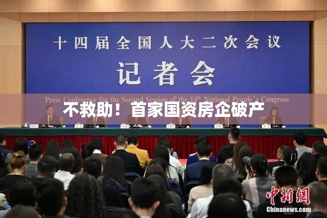 不救助！首家国资房企破产