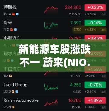 贡才艺 第4页