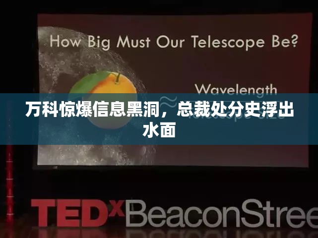 国际 第41页