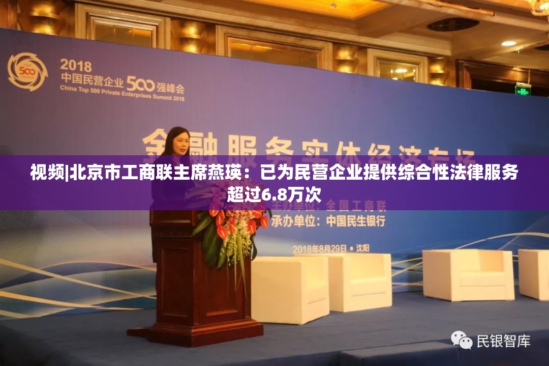 视频|北京市工商联主席燕瑛：已为民营企业提供综合性法律服务超过6.8万次