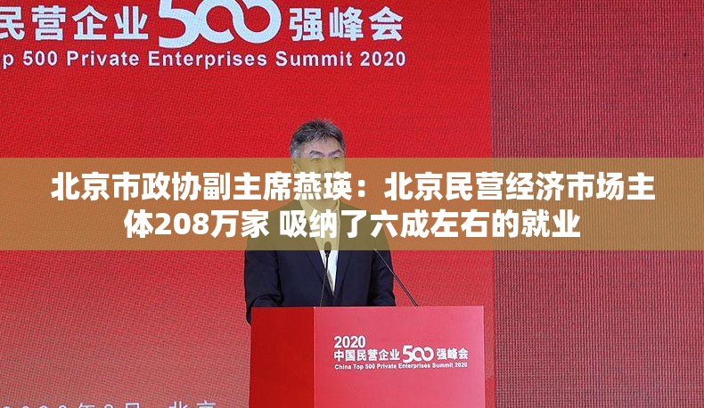 北京市政协副主席燕瑛：北京民营经济市场主体208万家 吸纳了六成左右的就业