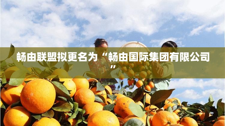 畅由联盟拟更名为“畅由国际集团有限公司”