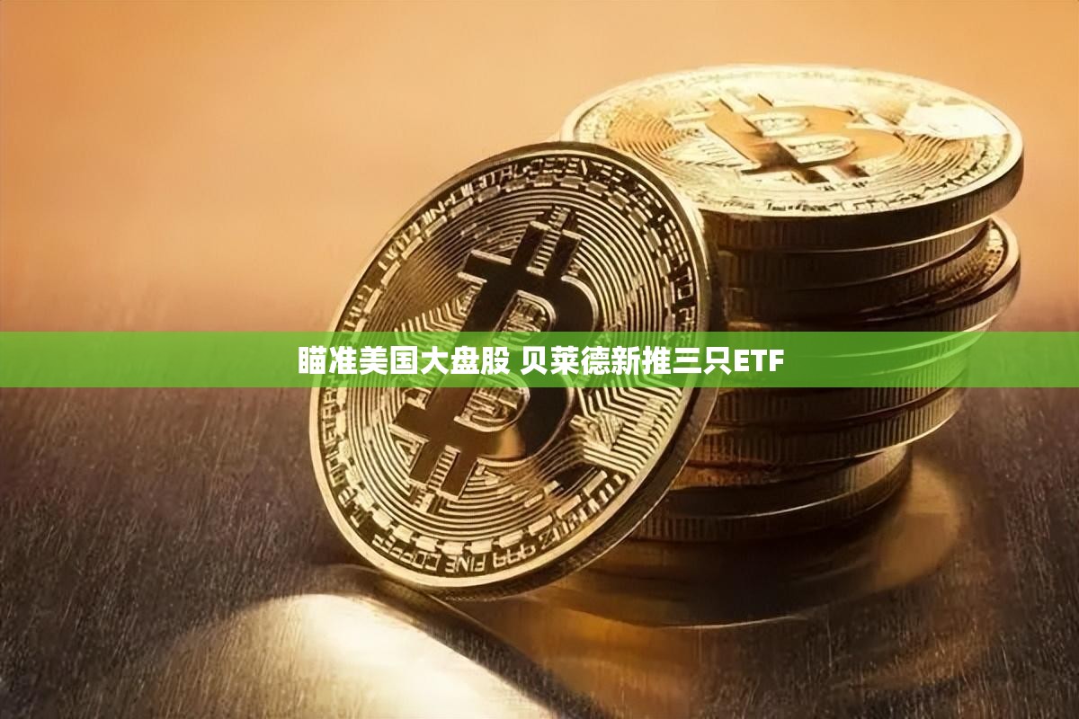 瞄准美国大盘股 贝莱德新推三只ETF