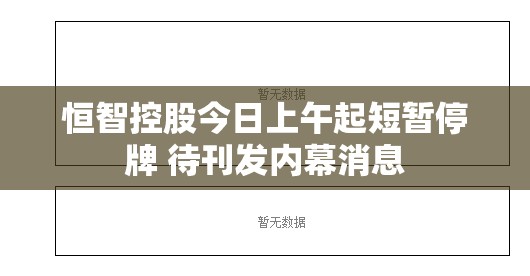 恒智控股今日上午起短暂停牌 待刊发内幕消息