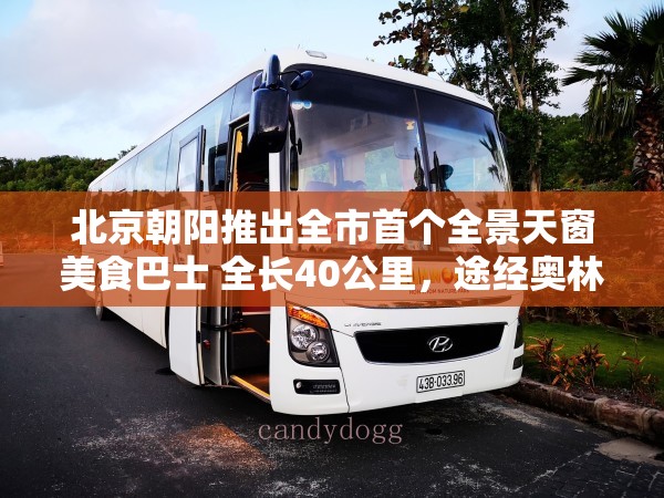 北京朝阳推出全市首个全景天窗美食巴士 全长40公里，途经奥林匹克中心区、亮马河、CBD等
