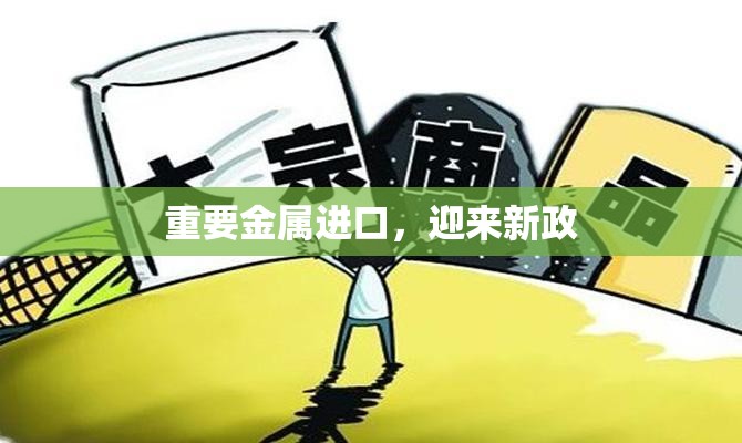重要金属进口，迎来新政