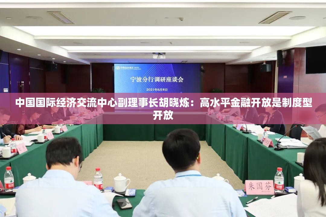 中国国际经济交流中心副理事长胡晓炼：高水平金融开放是制度型开放