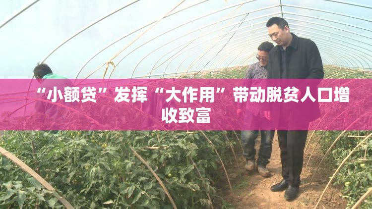 “小额贷”发挥“大作用”带动脱贫人口增收致富
