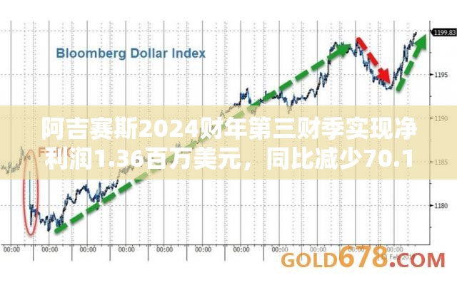 阿吉赛斯2024财年第三财季实现净利润1.36百万美元，同比减少70.11%
