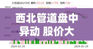 西北管道盘中异动 股价大涨5.19%报47.22美元