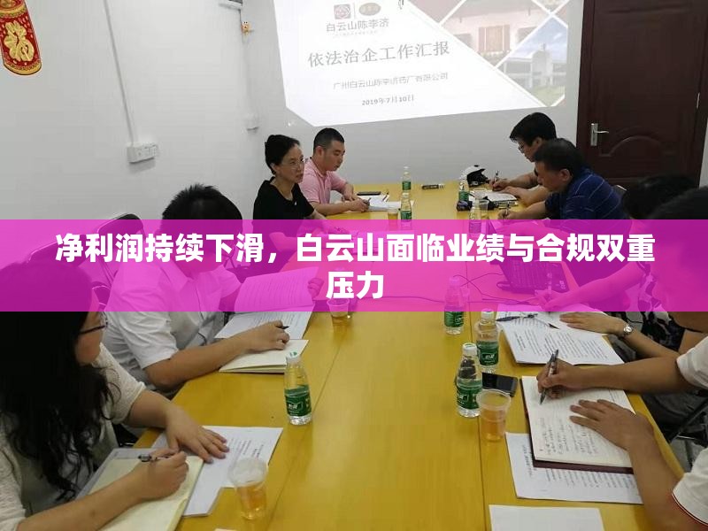 净利润持续下滑，白云山面临业绩与合规双重压力