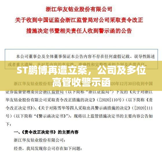 ST鹏博再遭立案，公司及多位高管收警示函