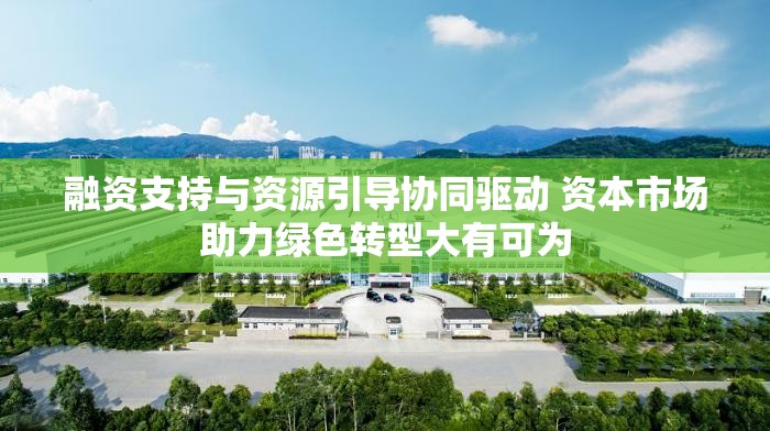融资支持与资源引导协同驱动 资本市场助力绿色转型大有可为