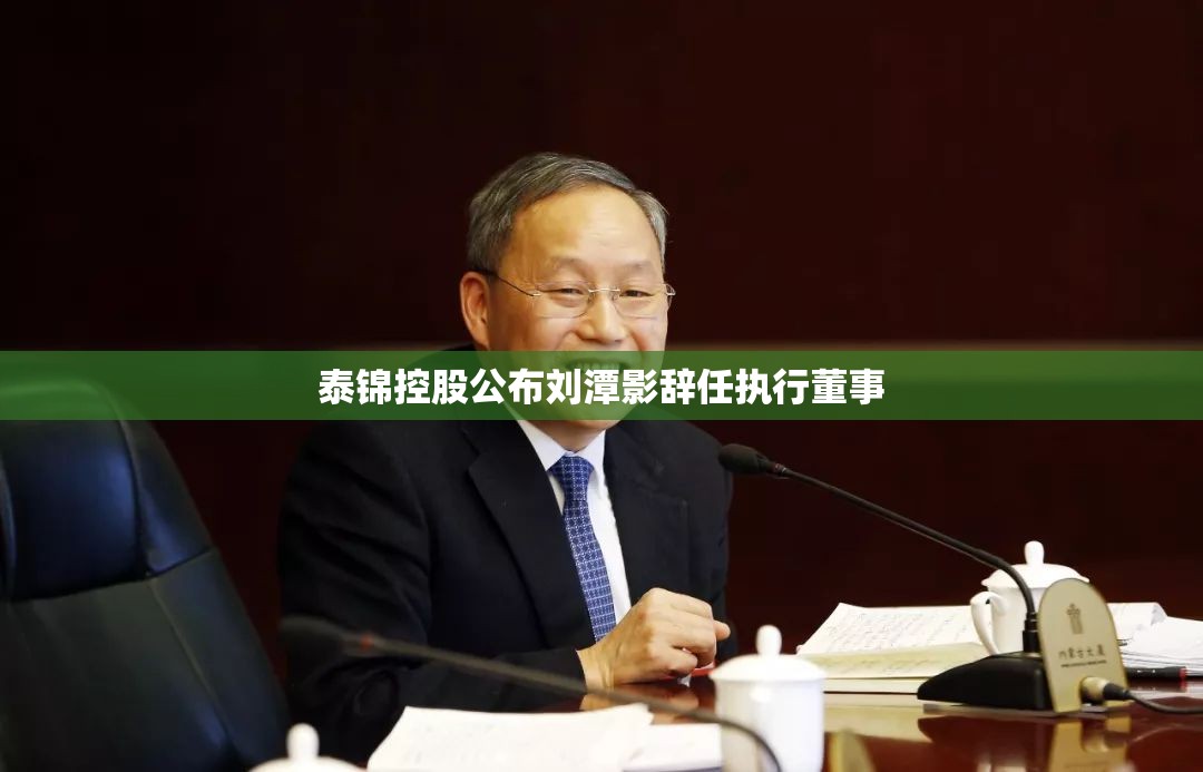 泰锦控股公布刘潭影辞任执行董事