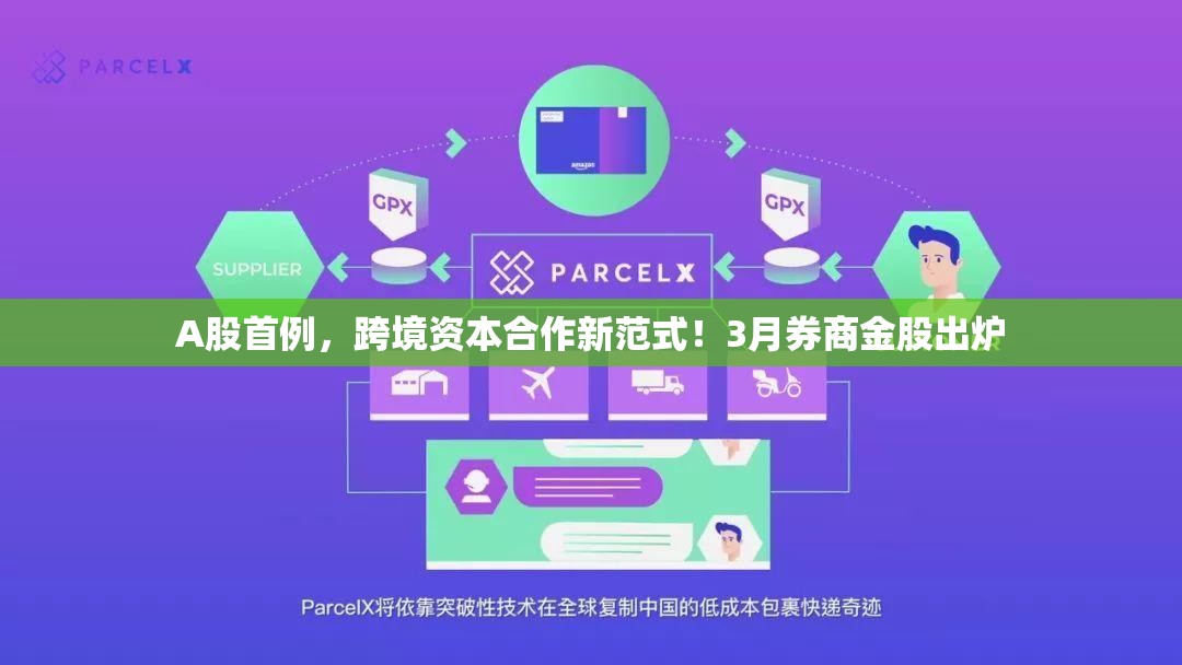 教育 第12页