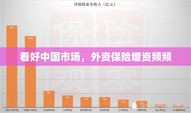 看好中国市场，外资保险增资频频
