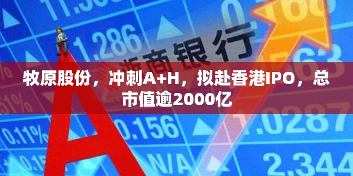 国际 第16页