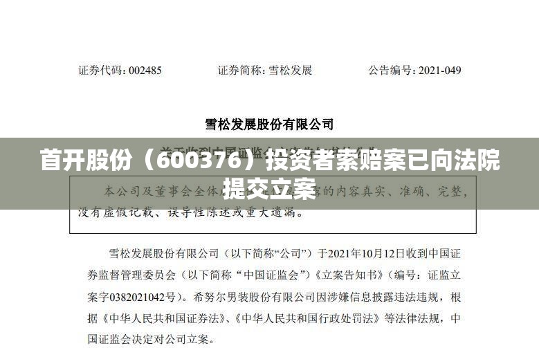 首开股份（600376）投资者索赔案已向法院提交立案