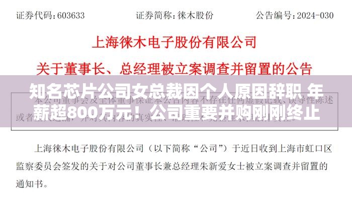 知名芯片公司女总裁因个人原因辞职 年薪超800万元！公司重要并购刚刚终止 股价连续下跌