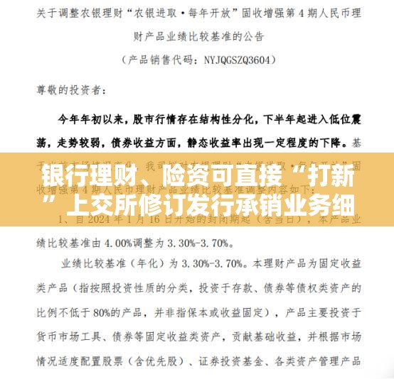 银行理财、险资可直接“打新”上交所修订发行承销业务细则