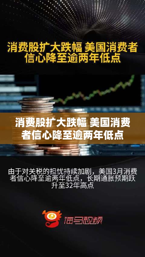 消费股扩大跌幅 美国消费者信心降至逾两年低点