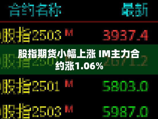 股指期货小幅上涨 IM主力合约涨1.06%