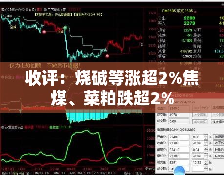 收评：烧碱等涨超2%焦煤、菜粕跌超2%