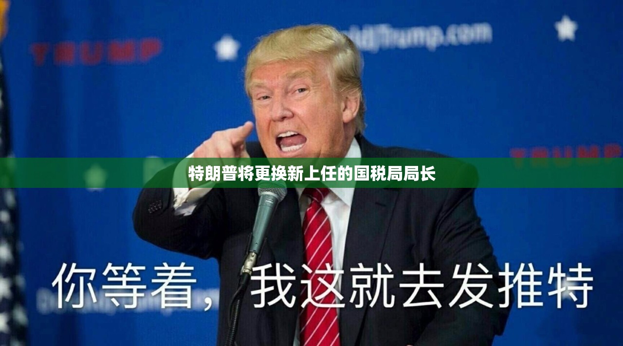 特朗普将更换新上任的国税局局长