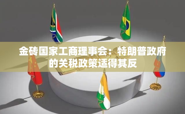 金砖国家工商理事会：特朗普政府的关税政策适得其反