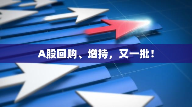 A股回购、增持，又一批！