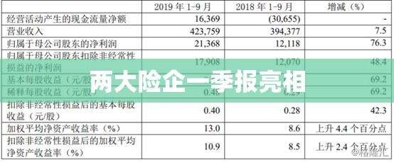两大险企一季报亮相