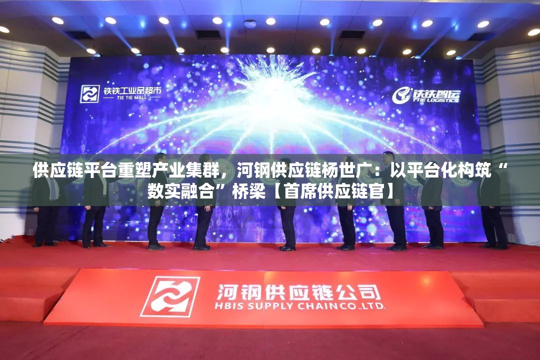供应链平台重塑产业集群，河钢供应链杨世广：以平台化构筑“数实融合”桥梁【首席供应链官】