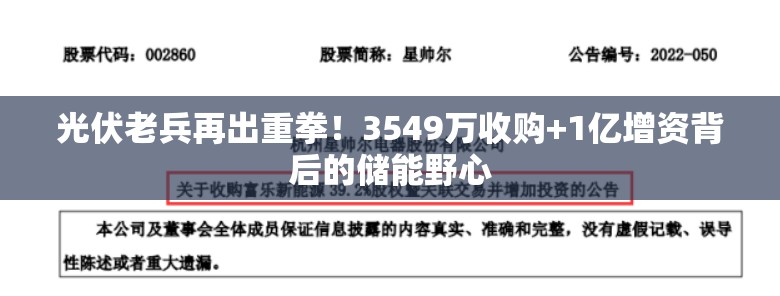 光伏老兵再出重拳！3549万收购+1亿增资背后的储能野心