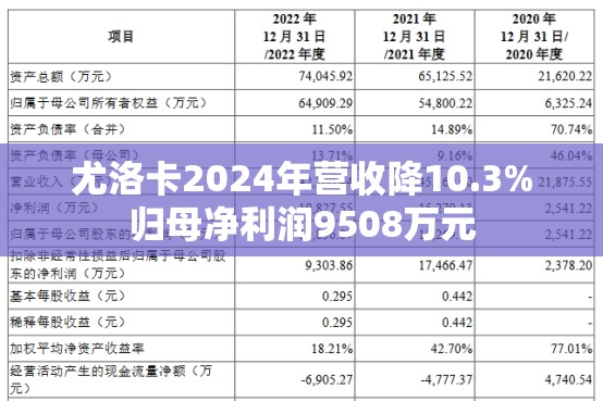 尤洛卡2024年营收降10.3%归母净利润9508万元