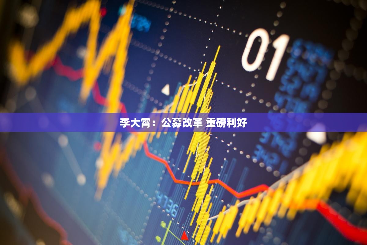 李大霄：公募改革 重磅利好