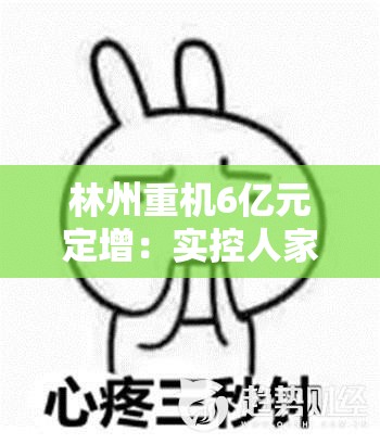 林州重机6亿元定增：实控人家族左手高比例质押右手低价包揽新股 前次募资“烂尾”十年