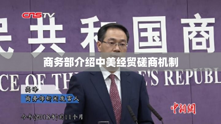 商务部介绍中美经贸磋商机制