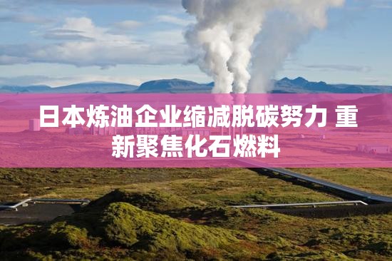 日本炼油企业缩减脱碳努力 重新聚焦化石燃料