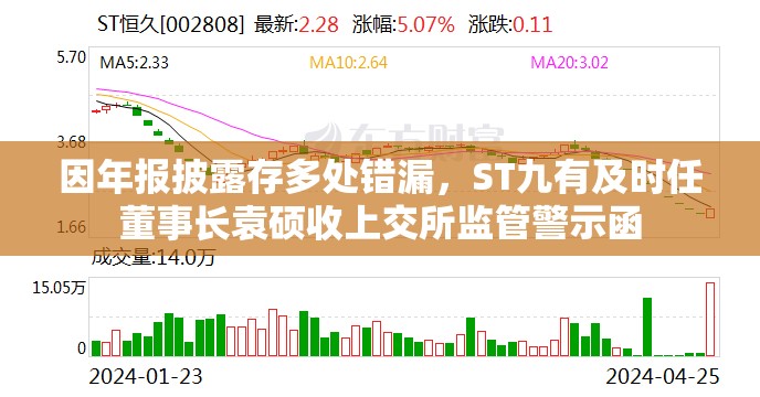 因年报披露存多处错漏，ST九有及时任董事长袁硕收上交所监管警示函