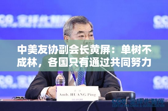 中美友协副会长黄屏：单树不成林，各国只有通过共同努力才能建立一个和平、稳定和可持续的世界
