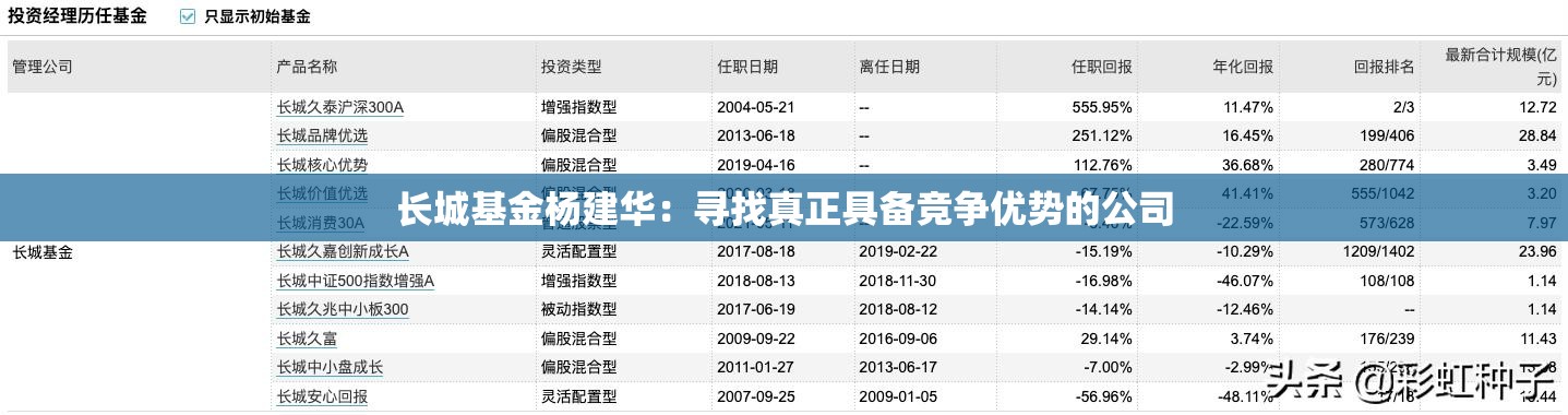 长城基金杨建华：寻找真正具备竞争优势的公司