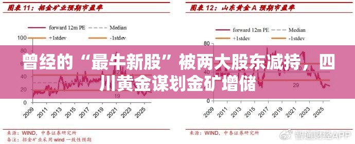 曾经的“最牛新股”被两大股东减持，四川黄金谋划金矿增储