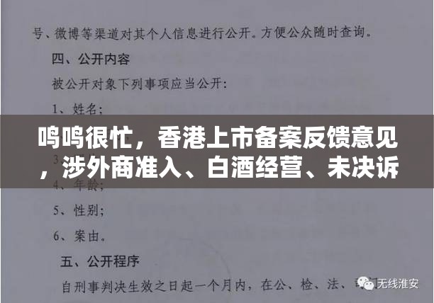 鸣鸣很忙，香港上市备案反馈意见，涉外商准入、白酒经营、未决诉讼相关情况等